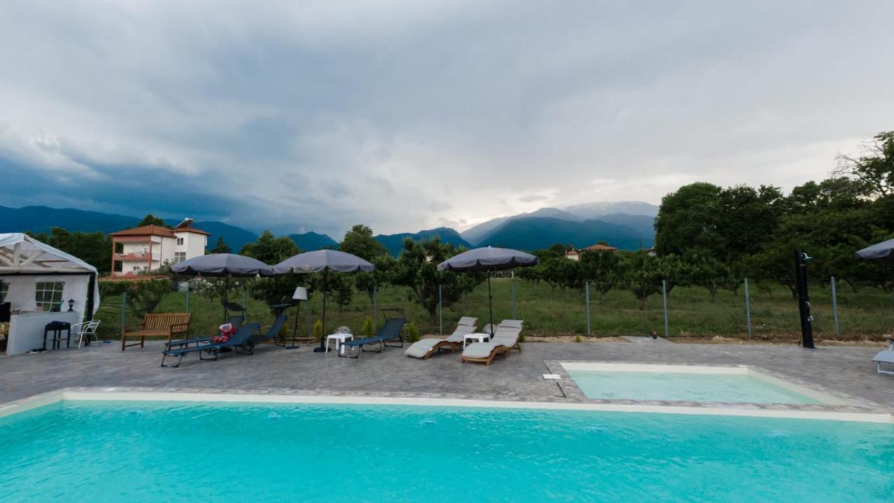 Ntinasvillage Leptokarya (Pieria) Exterior foto